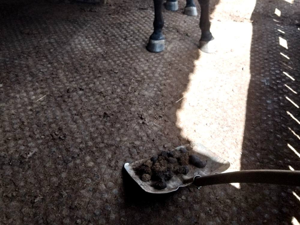 Dosluhujúca lopata s nákladom, v pozadí kôň