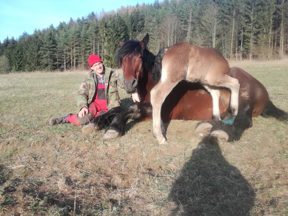 Luca leží na lúke, pri nej Palo a jedno z jej žriebät